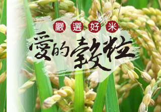 愛的鼓勵